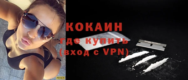 спиды Тайга